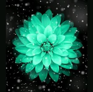 Meet your Posher, Talia